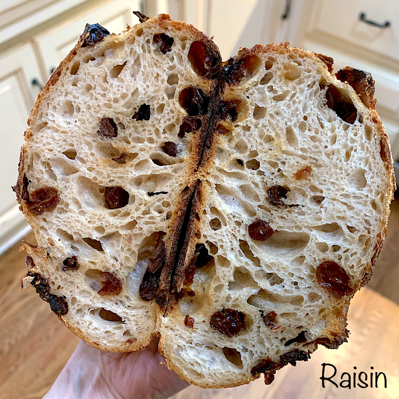 Raisin Main Image