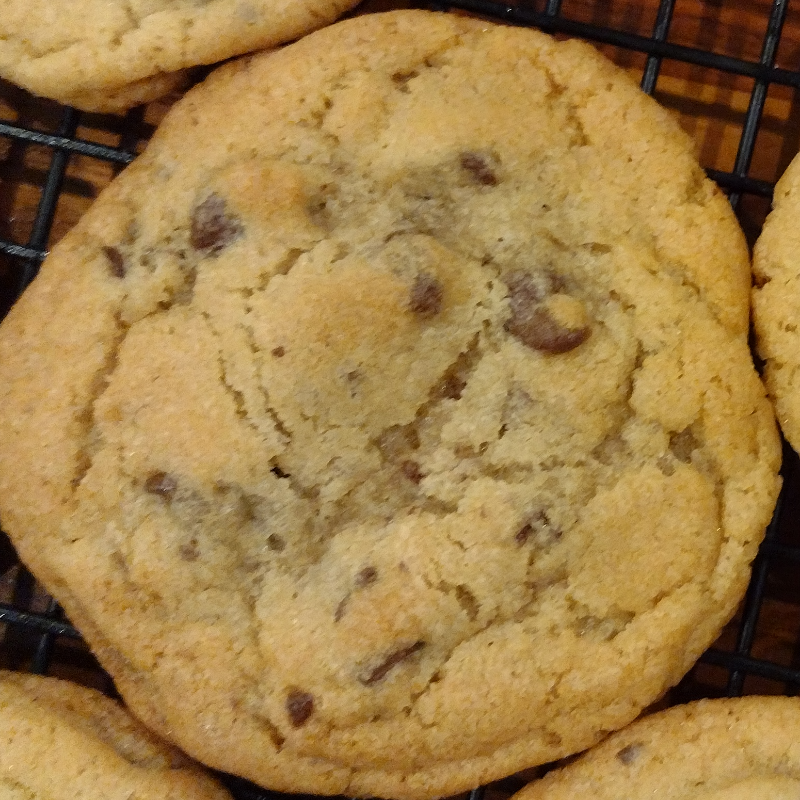 Chocolate Chip Cookies - Single (individually packaged) Main Image