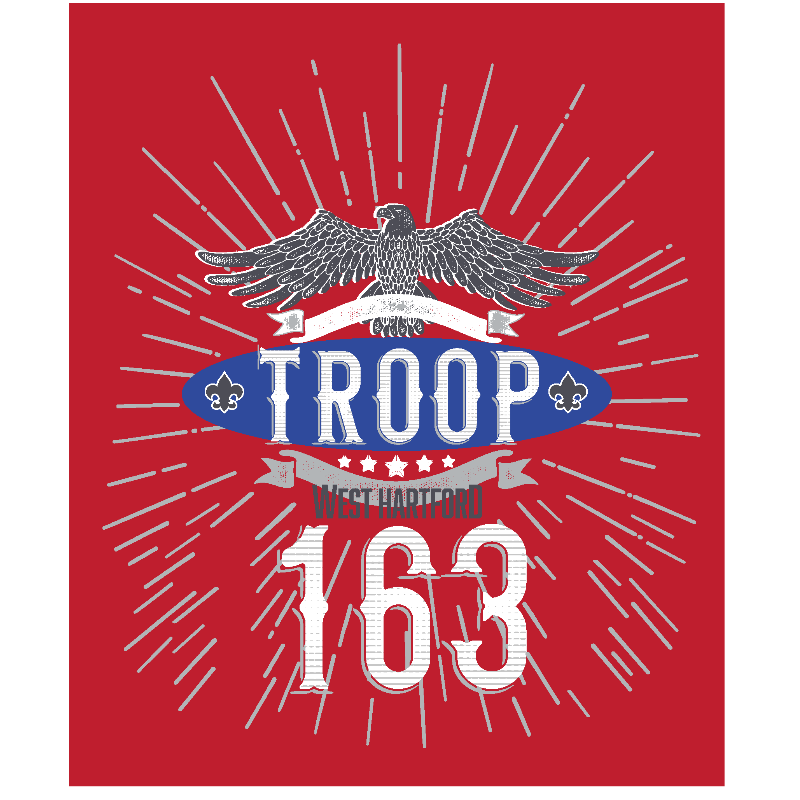 Troop 163 Boys LONG Sleeve T shirt Main Image