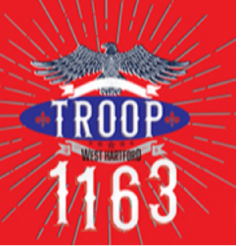 Troop 1163 (Girls Troop) LONG Sleeve T shirt Main Image