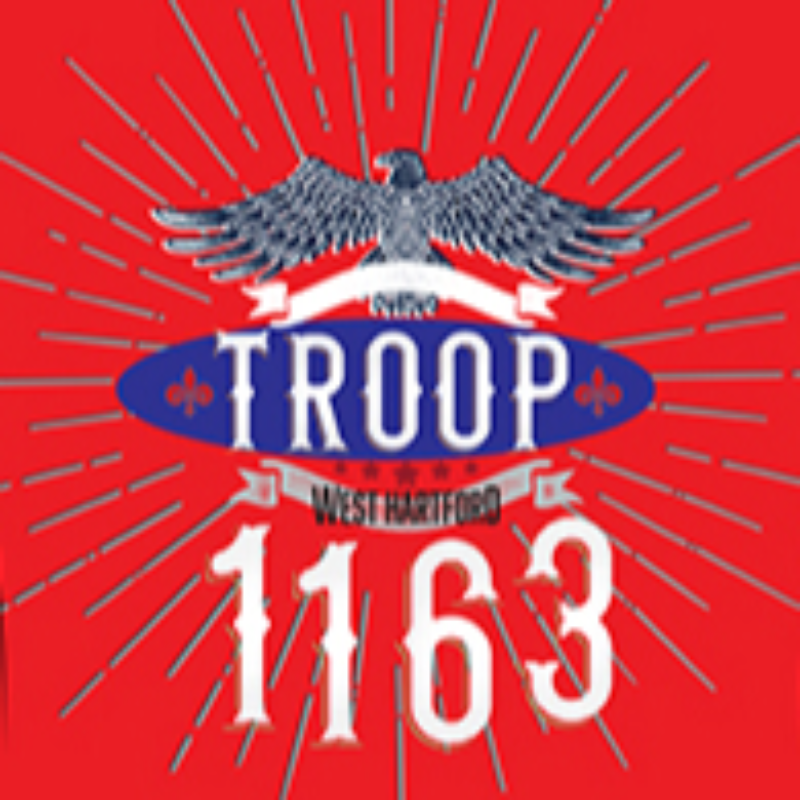 Troop 1163 Girls Short Sleeve T shirt  Main Image