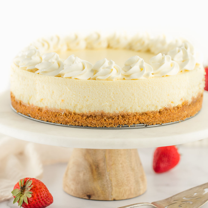 Plain Cheesecake  Main Image