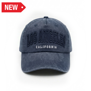 LA CAP CAMPUS (WSH NAVY) VSN #2858