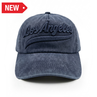 LA CAP SCHOOL (WSH NAVY) VSN #2803