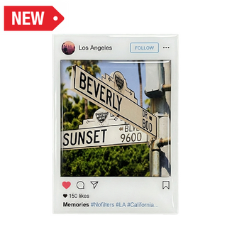 LA PLYWOOD MAGNET 11 VSN #3855