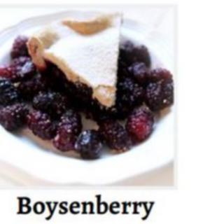 Boysenberry