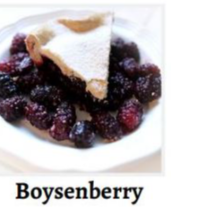 Boysenberry Main Image