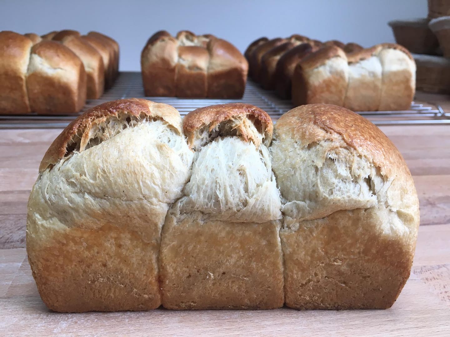 Brioche à la farine et au levain semi-complet Main Image