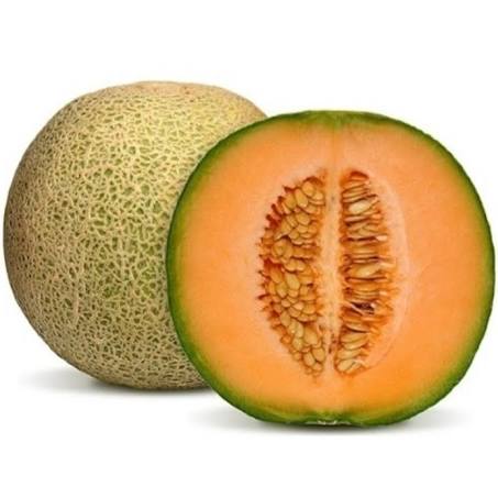 ROCK MELON