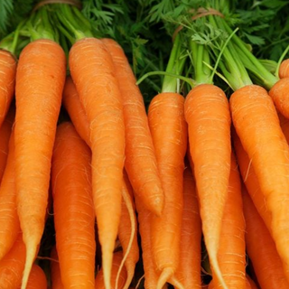 Carrots