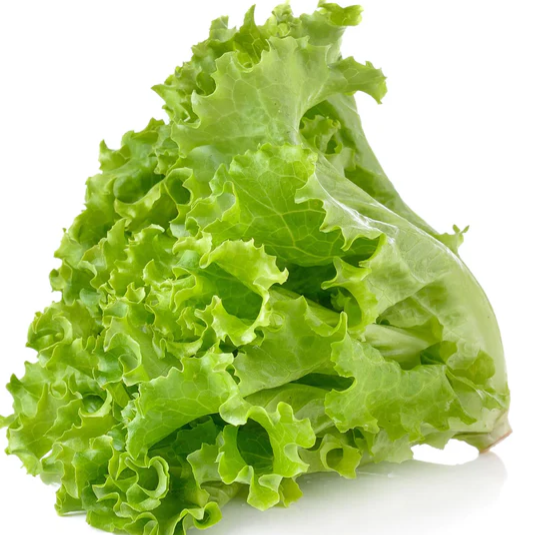 Lettuce