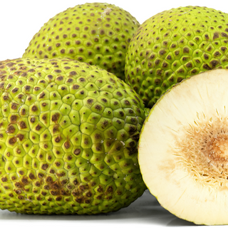Breadfruit