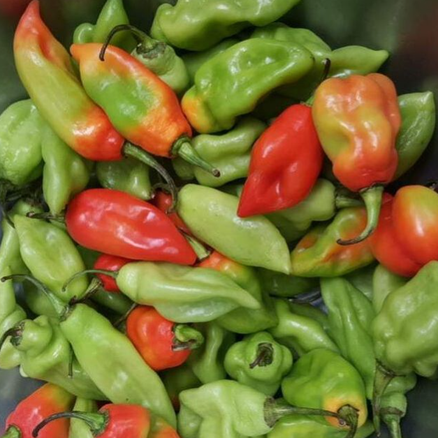 Pimento Peppers