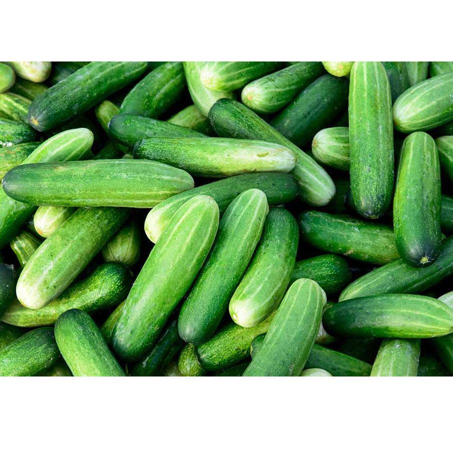 Cucumbers