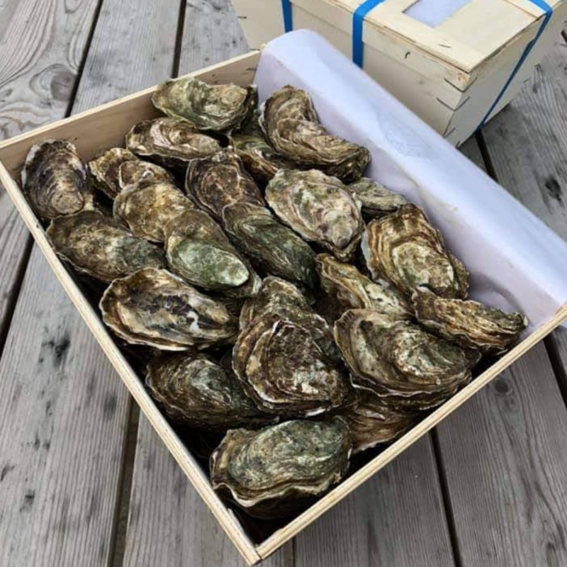 La dizaine d'HUÎTRES de Carnac