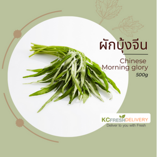 ผักบุ้งจีน Chinese Morning Glory 500g