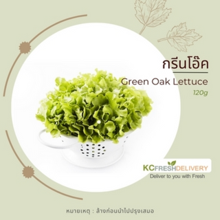 กรีนโอ๊ค Green Oak Lettuce 120g