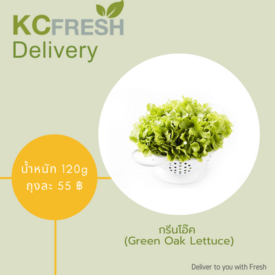 กรีนโอ๊ค Green Oak Lettuce 500g Main Image