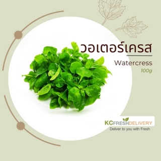 วอเตอร์เครส Watercress 100g