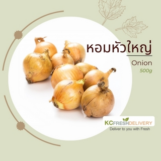 หอมหัวใหญ่ Onion 500g