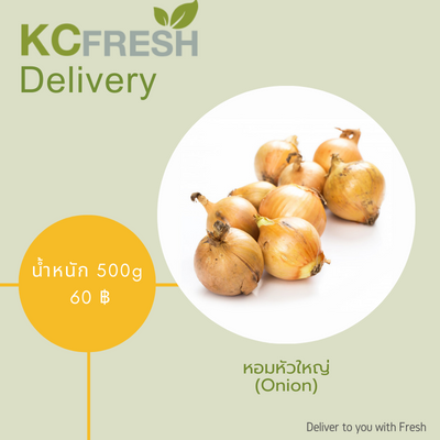 หอมหัวใหญ่ Onion 500g Main Image