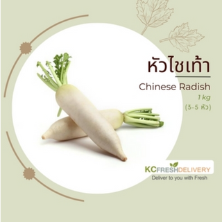 หัวไชเท้า Chinese Radish 