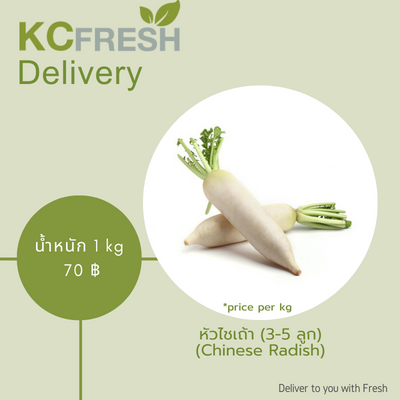 หัวไชเท้า Chinese Radish  Main Image