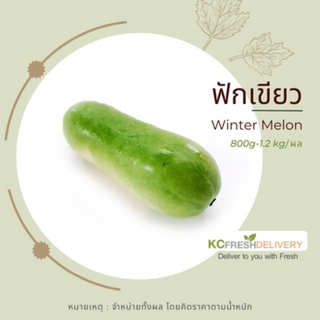 ฟักเขียว Winter Melon 