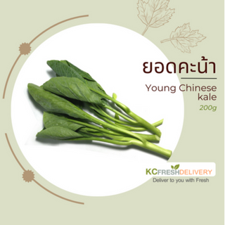 ยอดคะน้า Young Chinese Kale 200g