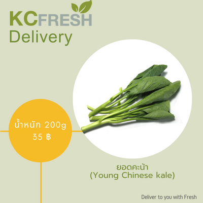 ยอดคะน้า Young Chinese Kale 500g Main Image