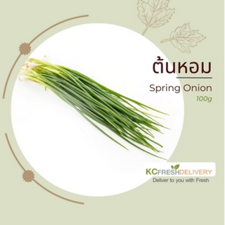 ต้นหอม Spring Onion 100g