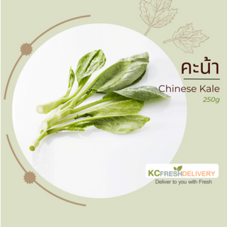 คะน้า Chinese Kale 250g