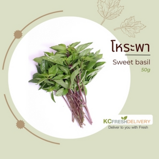 โหระพา Sweet Basil 50g