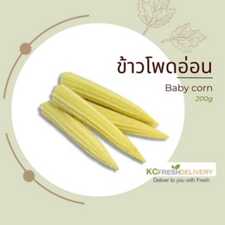 ข้าวโพดอ่อน Baby corn 200g