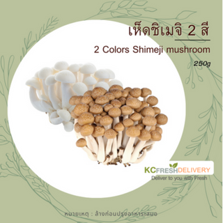 เห็ดชิเมจิ 2 สี 2 Color Shimeji mushroom 250g