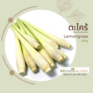 ตะไคร้ Lemongrass 100g