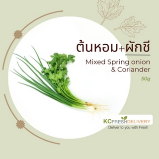 ต้นหอม+ผักชี Mixed Spring Onion & Coriander 50g