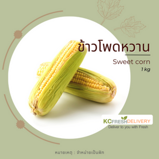 ข้าวโพดหวาน Sweet corn 1kg