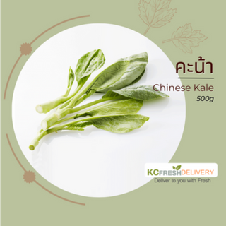 คะน้า Chinese Kale 500g