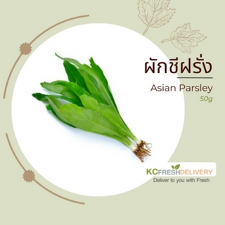 ผักชีฝรั่ง Asian Parsley 50g