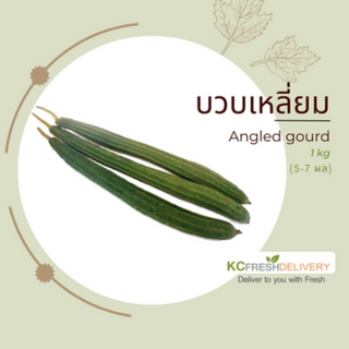 บวบเหลี่ยม Angled Gourd 