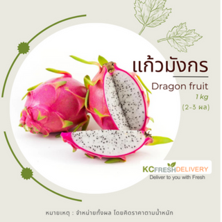 แก้วมังกรขาว White Dragon fruit 