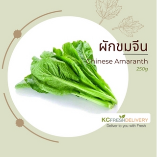 ผักขมจีน Chinese Amaranth 250g