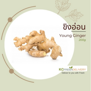 ขิงอ่อน Young Ginger 200g