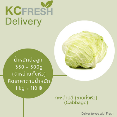 กะหล่ำปลี Cabbage  Main Image