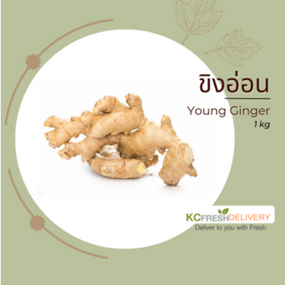 ขิงอ่อน Young Ginger 1kg