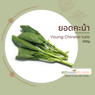 ยอดคะน้า Young Chinese Kale 500g