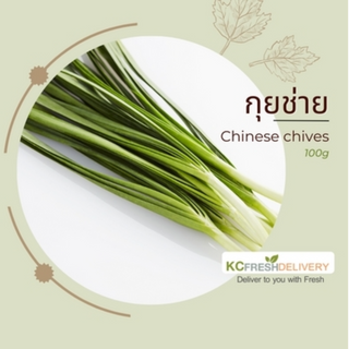 กุ้ยช่าย Chinese Chives 100g