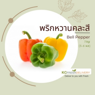 พริกหวาน Bell Pepper 