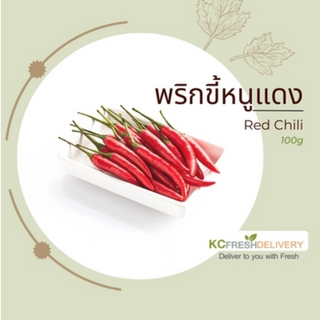 พริกขี้หนูแดง Red chili 100g